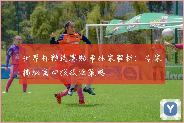世界杯预选赛赔率独家解析:专家揭秘高回报投注策略