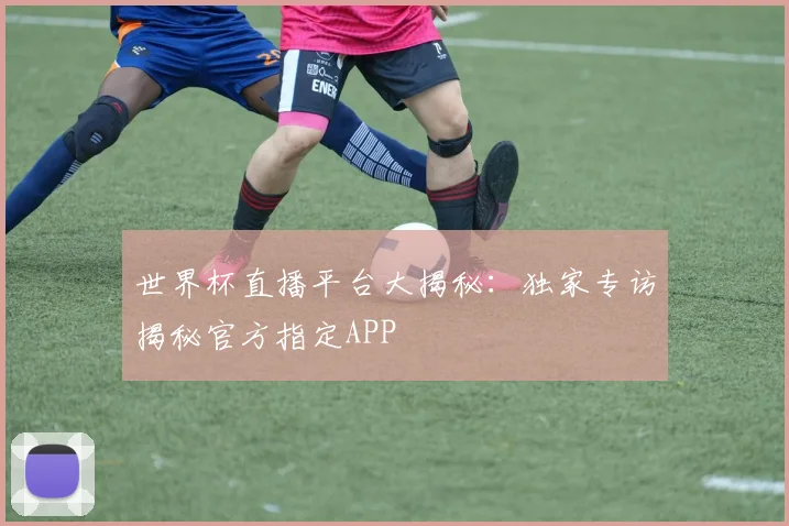 世界杯直播平台大揭秘：独家专访揭秘官方指定APP