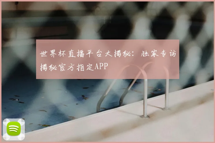 世界杯直播平台大揭秘：独家专访揭秘官方指定APP