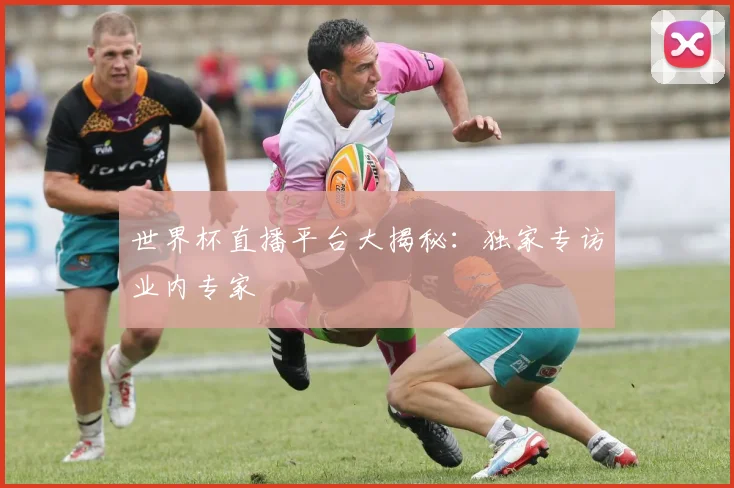 世界杯直播平台大揭秘：独家专访业内专家