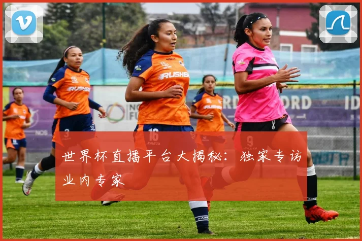 世界杯直播平台大揭秘：独家专访业内专家