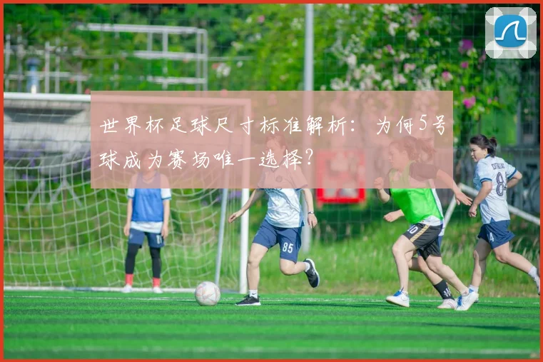 世界杯足球尺寸标准解析：为何5号球成为赛场唯一选择？